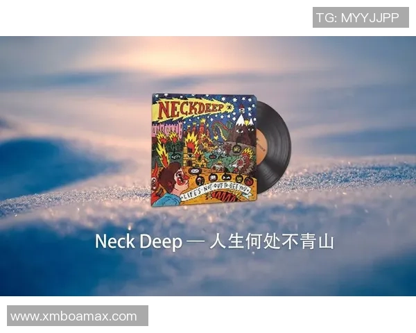 黄秀英的CSGO人生探索与深度对话背后的故事与启示